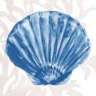 Navy Ocean Shells Square II Art Print
