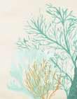 Triple Teal Coral I Art Print