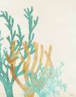 Triple Teal Coral II Art Print