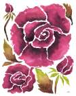 Rose Bloom Art Print