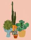 Southwestern Modern Potted Plants II Art Print