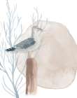 Seabird On Post I Art Print