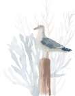 Seabird On Post II Art Print