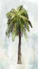 Single Palm Tree II Art Print
