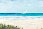 Coastal Sailing Art Print