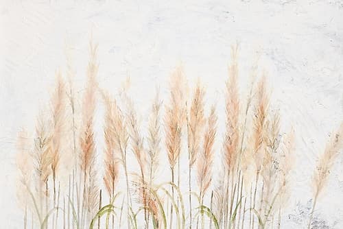 Delicate Pampas with Textured Background Art Print