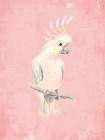 Pink Cockatoo Art Print