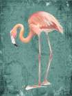 Emerald Green Flamingo Art Print