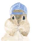 Cool Squirrel Art Print