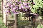 Country Grocery Store Art Print