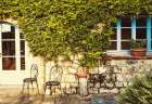Vine Covered House II Art Print