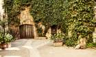 Vine Covered House I Art Print