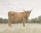 Highland Cattle Art Print
