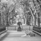 Tiger In Central Park Art Print