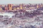 Winter In Central Park