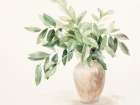Slender Leaves in Vase I