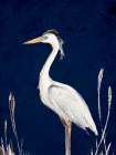 Heron on Navy I Art Print