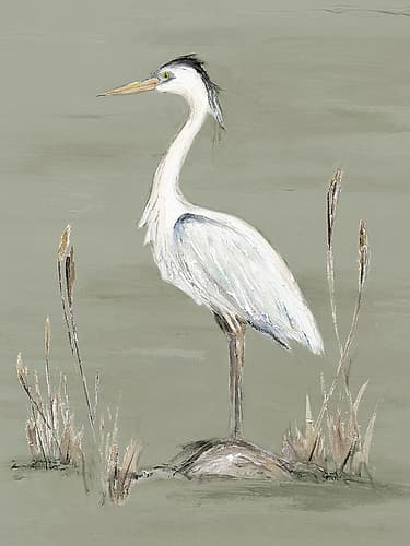 Heron on Sage Green I Art Print