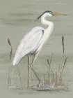Heron on Sage Green II Art Print