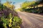 Southwestern Road Art Print