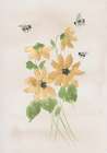 Sunflower Bouquet With Bees Art Print