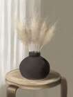 Pampas Grass In Black Vase Still Life Print