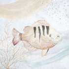 Ocean Oasis Waves Tropical Fish II Art Print