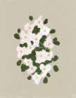 Neutral Flowers On Beige Art Print