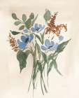 Blue Autumn Cosmos I Art Print