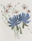 Cool Blue Floral II Art Print