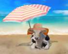 Sunbathing Cow Art Print