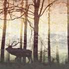 Deer Forest Art Print