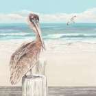 Pelican On The Beach Art Print