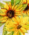Thoughtful Sunflowers Art Print