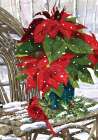 Cardinal and Poinsettias Art Print