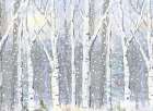 Winter Wonderland Birch Forest Art Print