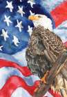 American Flag and Eagle Art Print