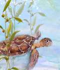Turtle by the Reef I Art Print