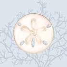 Sand Dollar On Blue Coastal Print