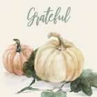 Grateful Thanksgiving