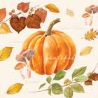 Grateful Autumn Harvest Art Print