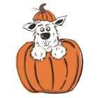 Startled Halloween Pup Art Print
