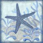 Nautical Life Starfish Coastal Print