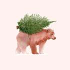 Holiday Woodland Bear