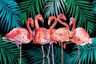 Beautiful Flamingo Nights Art Print