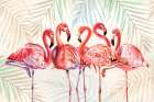 Beautiful Flamingoes Art Print