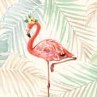 Beautiful Flamingo I