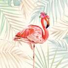 Beautiful Flamingo II
