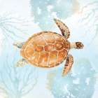 Sea Turtle Reef III Art Print