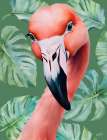 Flamingo Portrait Art Print
